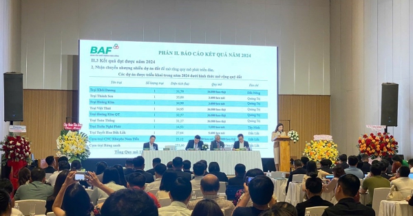 Tổng Giám đốc BAF: Cơ cấu doanh thu chuyển sang 100% mảng chăn nuôi, quý I bán khoảng 160.000 con heo