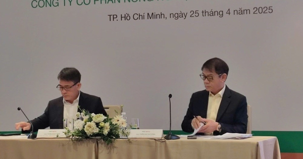 Ông Trần Bá Dương: Không có kế hoạch sáp nhập HAGL Agrico và Thaco Agri
