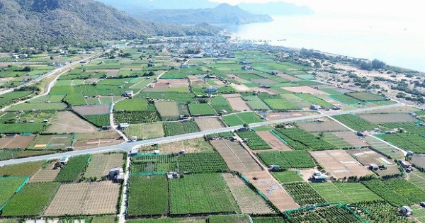Triển khai các dự án thành phần Nhà máy điện hạt nhân Ninh Thuận