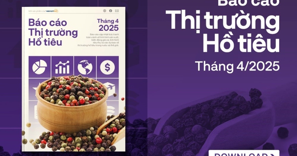 [Báo cáo] Thị trường hồ tiêu tháng 4/2025: Giá tiêu hạ nhiệt do lo ngại chính sách thuế quan của Mỹ