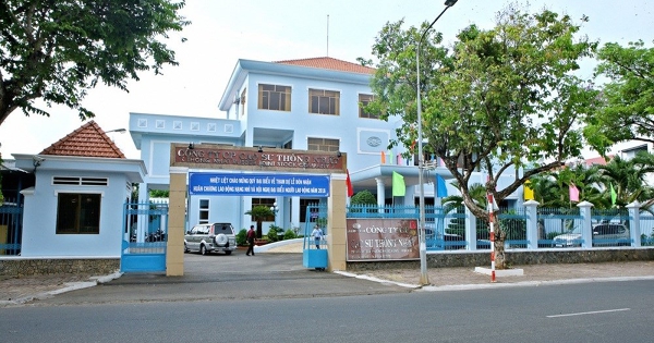 Nối gót HAGL, một công ty cao su cũng lãi đậm từ bán chuối