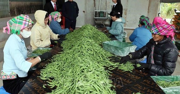 Từ ngày 1/7, nâng mức cho vay đối với cá nhân, hộ kinh doanh không có tài sản đảm bảo