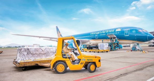 Một công ty làm dịch vụ hàng không chia cổ tức tiền mặt 80%