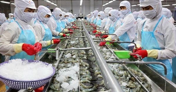 Sau 2 năm thua lỗ, Minh Phú tham vọng có lãi nghìn tỷ đồng