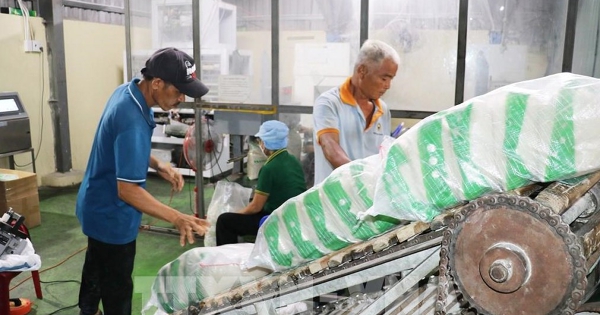 Giá gạo xuất khẩu đã giảm gần 19%