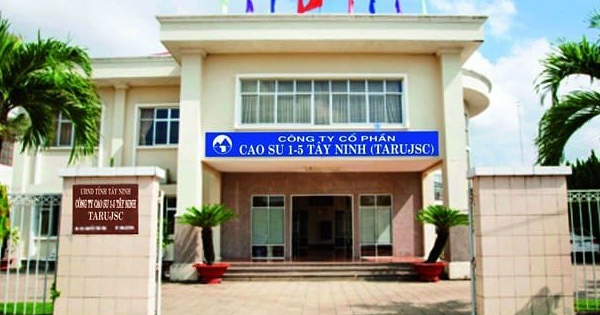 Một công ty cao su lập kỷ lục, lãi bán niên gấp 3,7 cùng kỳ