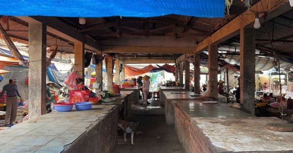 Thịt heo ở Quảng Ngãi, Gia Lai ế vì dịch tả