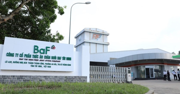 BAF lãi ròng kỷ lục, không còn nguồn thu từ nông sản