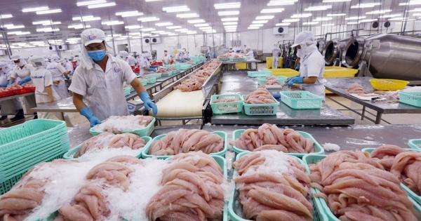 Chủ tịch Sao Ta: 'Tỷ lệ nội địa hoá thuỷ sản Việt Nam gần như tuyệt đối'