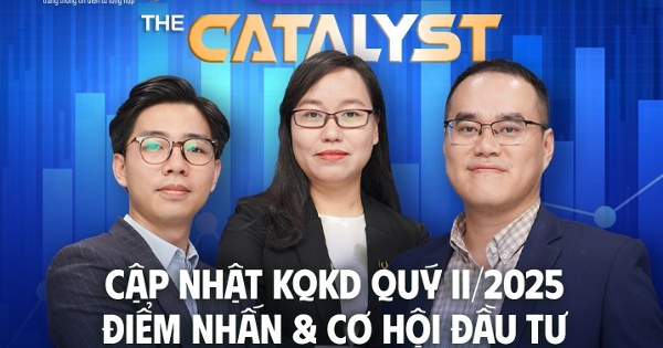 Data Talk | The Catalyst: Cập nhật kết quả kinh doanh quý II/2025 – Điểm nhấn & Cơ hội đầu tư