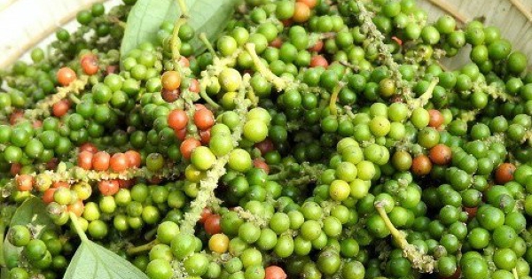 VPSA kiến nghị bỏ VAT, áp dụng thuế khoán xuất khẩu 0,5% với hồ tiêu và gia vị