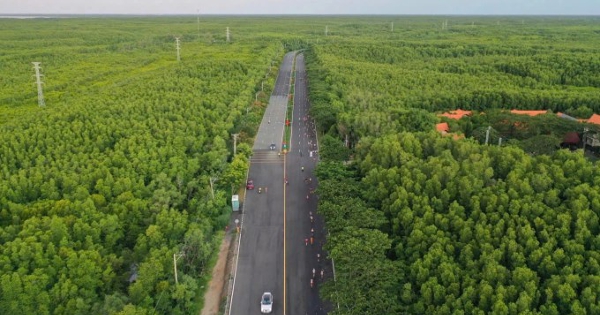 Metro đi Cần Giờ dự kiến có tốc độ 350 km/h