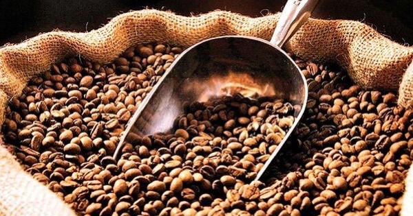 Giá cà phê đồng loạt tăng trở lại, triển vọng cuối năm ra sao?