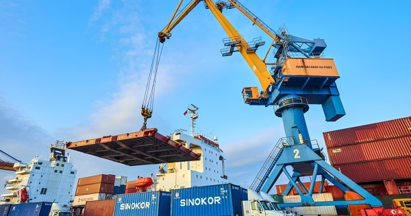 Viconship điều chỉnh chỉ tiêu lợi nhuận 2025 gấp hơn 3 lần