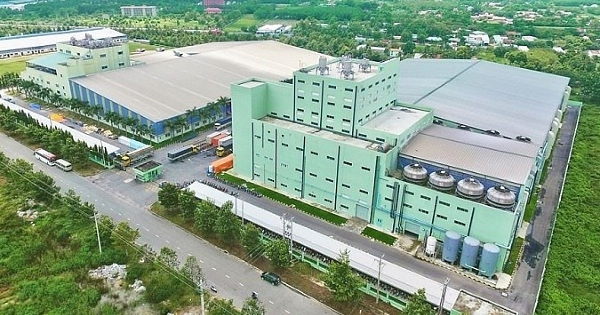 Sợi Thế Kỷ chuẩn bị chia cổ tức 45%