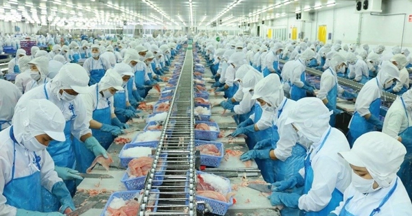 Vĩnh Hoàn lãi gấp rưỡi, lợi nhuận chưa phân phối gấp 3 lần vốn điều lệ