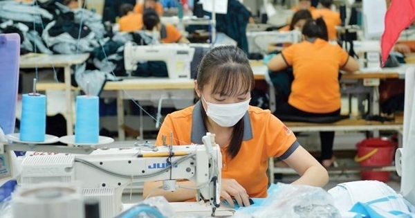 174.000 DN gia nhập nhưng cũng có 144.000 DN rút lui khỏi thị trường trong 7 tháng đầu năm