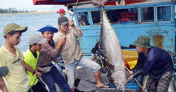 VASEP: Một số mặt hàng hải sản Việt Nam đối mặt với nguy cơ bị cấm nhập khẩu vào Mỹ