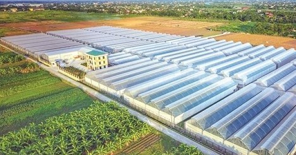 Công ty nông nghiệp chủ lực của PAN Group báo lãi 265 tỷ nửa đầu năm