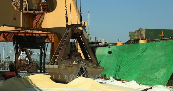 Hiệp hội Phân bón Việt Nam góp ý kiến về thuế xuất khẩu phân bón