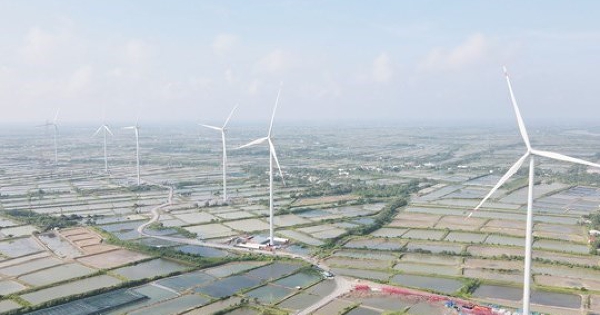 Một công ty điện gió lỗ trăm tỷ, nợ ngân hàng gấp 19 lần vốn chủ sở hữu