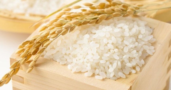 Giá gạo Nhật Bản vẫn cao dù hàng nhập khẩu tăng mạnh