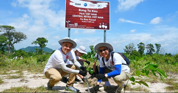P&G và Central Retail Việt Nam trồng thêm 1.000 cây rừng tại Tà Kóu