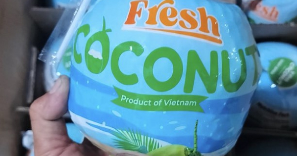 Mỹ vượt Trung Quốc thành thị trường nhập dừa lớn nhất của Việt Nam