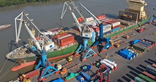 Viconship nêu lý do điều chỉnh mục tiêu lợi nhuận gấp 3 lần