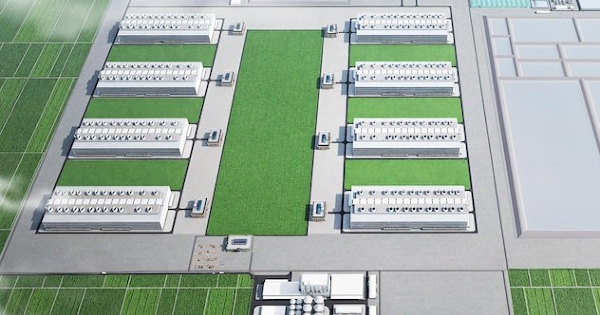 BAF bắt tay Muyuan đầu tư 12.000 tỷ đồng cho chăn nuôi heo nhà cao tầng tại Tây Ninh