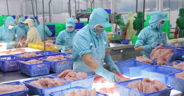 Xuất khẩu nông lâm thủy sản 8 tháng tăng 12%