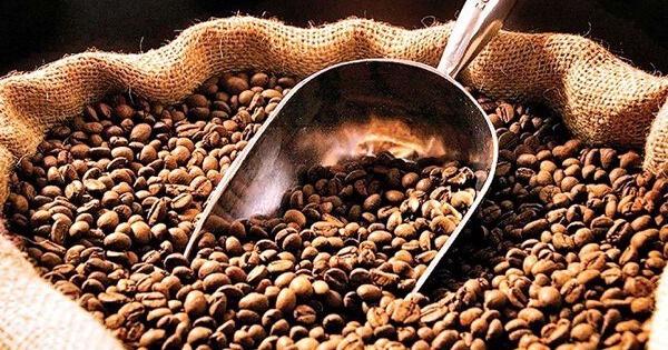 Giá cà phê tại Mỹ tăng cao kỷ lục do thời tiết cực đoan và thuế nhập khẩu