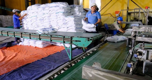 Năng suất đường Việt Nam tiếp tục dẫn đầu khu vực