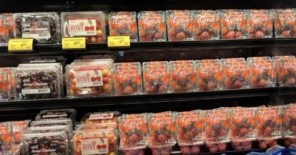 Xuất khẩu vải thiều tăng gấp ba cùng kỳ