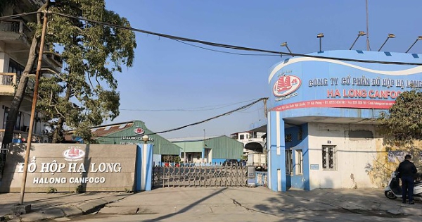 Tổng giám đốc Công ty Đồ hộp Hạ Long bị bắt trong vụ thịt heo nhiễm bệnh