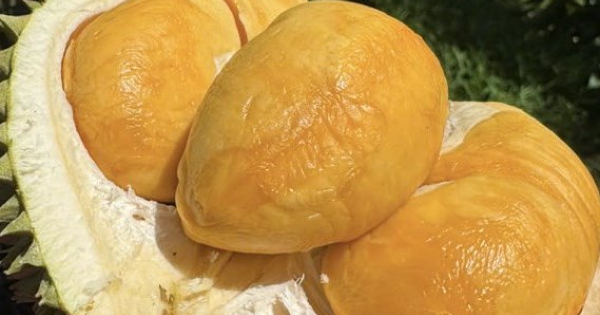 Rau quả Việt tăng trưởng mạnh nhất tại Trung Quốc