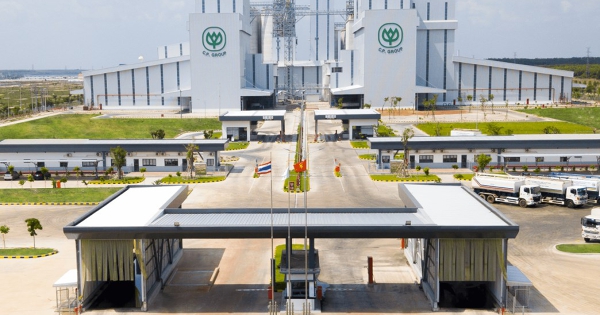 C.P. Việt Nam cùng hai doanh nghiệp chăn nuôi vào diện thanh tra về an toàn thực phẩm