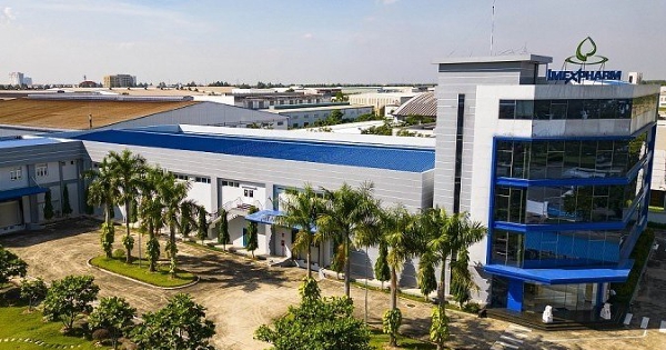 Một doanh nghiệp dược lãi kỷ lục