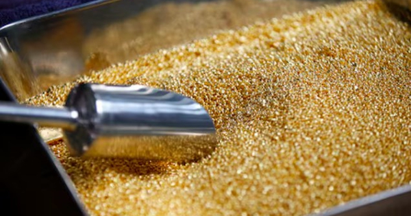 Giá vàng hôm nay 23/1: Vàng SJC tăng mạnh trở lại, vượt mốc 170 triệu đồng/lượng