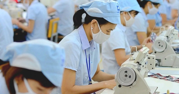 Anh cả ngành dệt may báo lãi tăng bằng lần