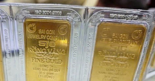 SJC thông báo tạm ngưng giao dịch vàng tại một số cửa hàng trong ngày 31/1