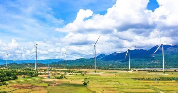 Trungnam Group dự kiến khởi động lại kế hoạch IPO mảng năng lượng giai đoạn 2027 - 2028