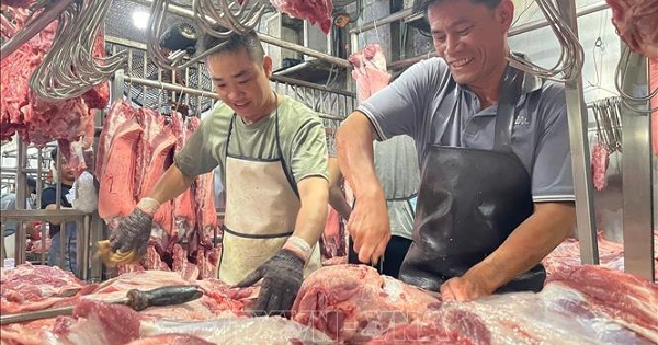 Doanh nghiệp, siêu thị vào cuộc bình ổn thị trường thịt heo