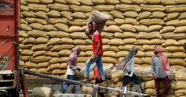 Giá gạo Ấn Độ và Thái Lan ít biến động trước thềm Tết Nguyên đán