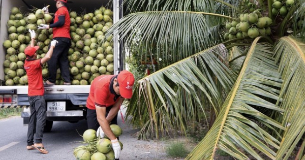 Xuất khẩu rau quả sang EU tăng gấp ba sau 4 năm