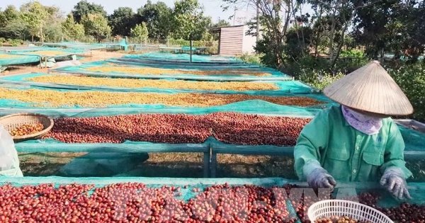 Mở rộng dư địa xuất khẩu nông lâm thủy sản, hướng tới mục tiêu 74 tỷ USD