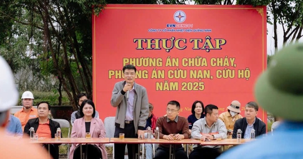 Khởi tố Phó Tổng Giám đốc Nhiệt điện Quảng Ninh