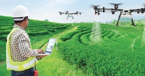 Nông nghiệp dẫn đầu mức lương trần CEO