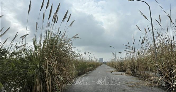 Khơi thông 'điểm nghẽn' đất đai - quyết tâm hồi sinh những dự án đô thị đắp chiếu