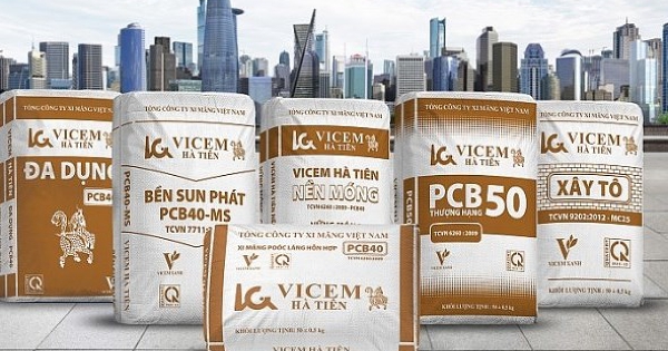 Vicem Hà Tiên tái bổ nhiệm Phó Tổng Giám đốc